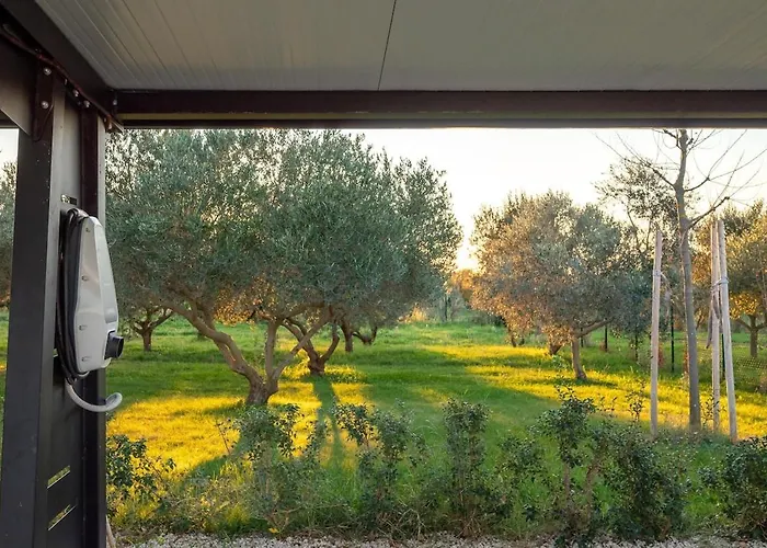 Olive Paradise Ii By Istrialux